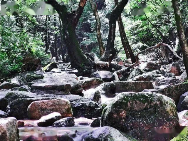 逗小猴开心系列207
